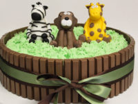 Bolo Kit Kat Safari