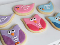 Cookie Corujas e Pássaros