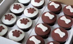 Cupcake Cachorro